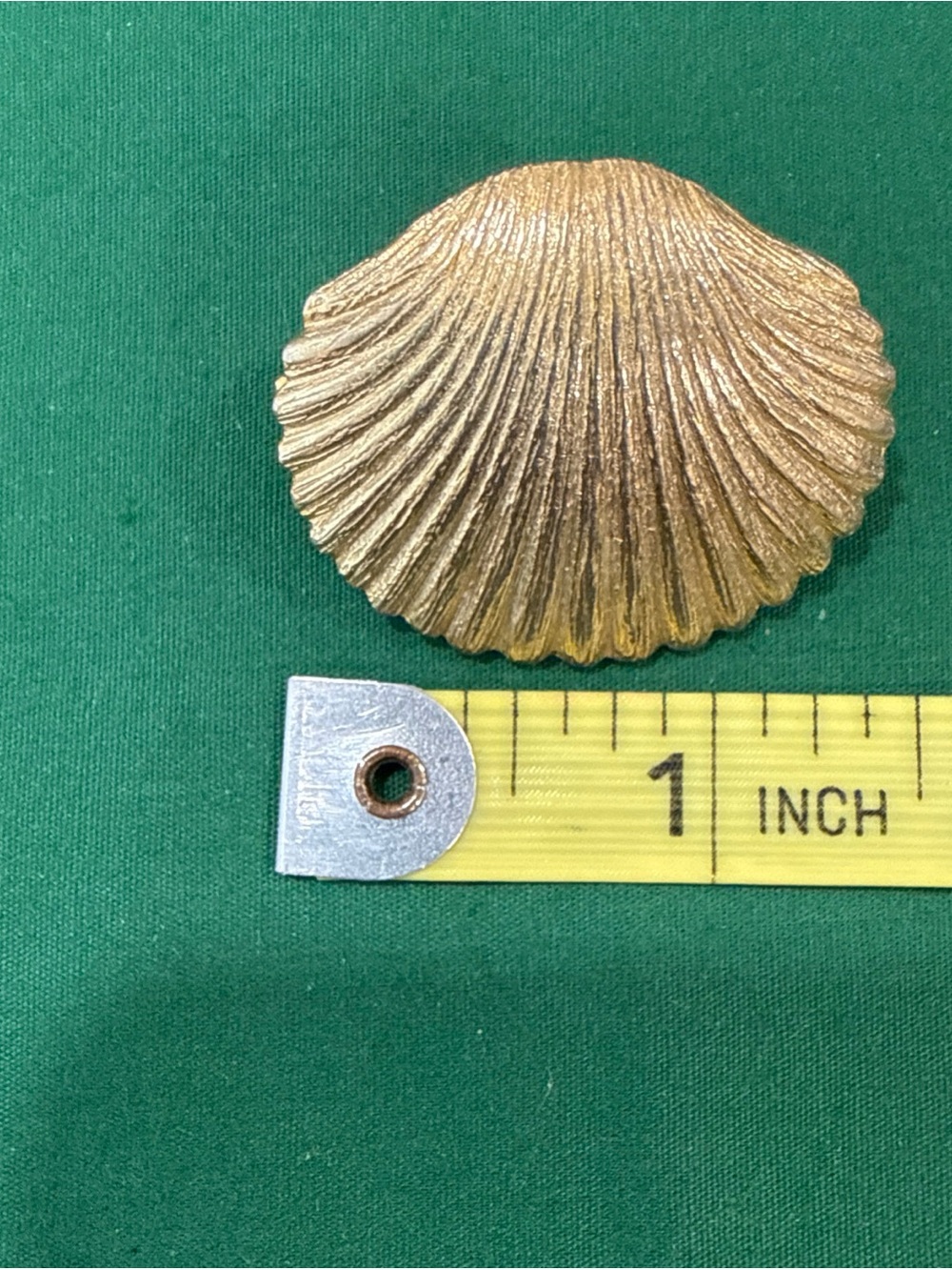Gold Tone Ribbed Shell Pin. 124B - Picture 3 of 4